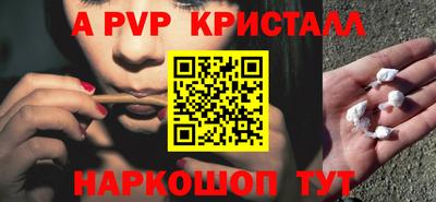 молекула духа Донской